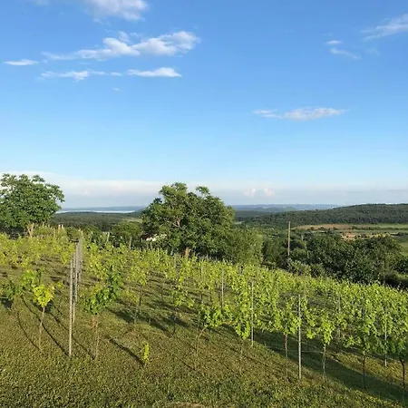 Kikapcsol-lak Ferienhaus Pécsely