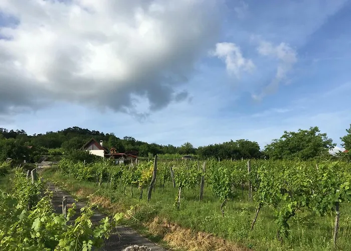 Kikapcsol-lak Feriehus *